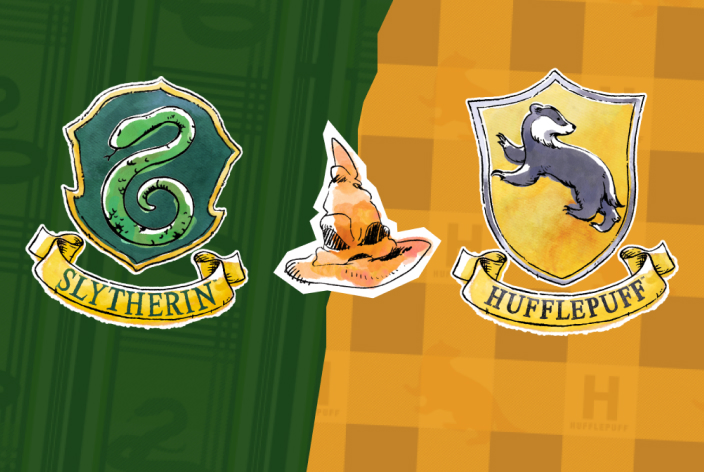 Why are Hogwarts students so worried about being sorted into Slytherin or Hufflepuff? 